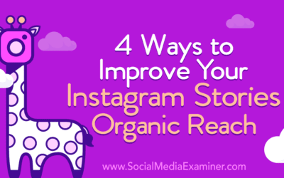 4 Ways to Improve Your Instagram Stories Organic Reach