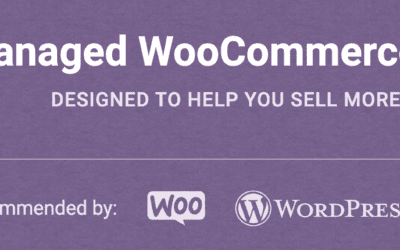 What are the Best Options for WooCommerce Hosting?