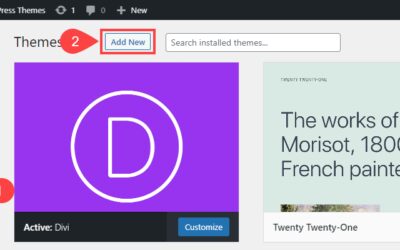 How to Install a WordPress Theme (3 Methods)