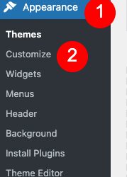 How to Use the WordPress Theme Customizer