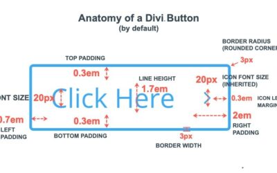 A Complete Guide for Creating Fluid Button Designs in Divi