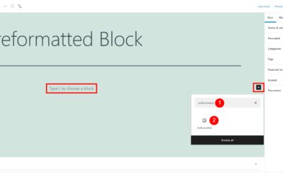 How to Use the WordPress Preformatted Block