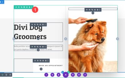 How to Change an Image on Hover with Divi