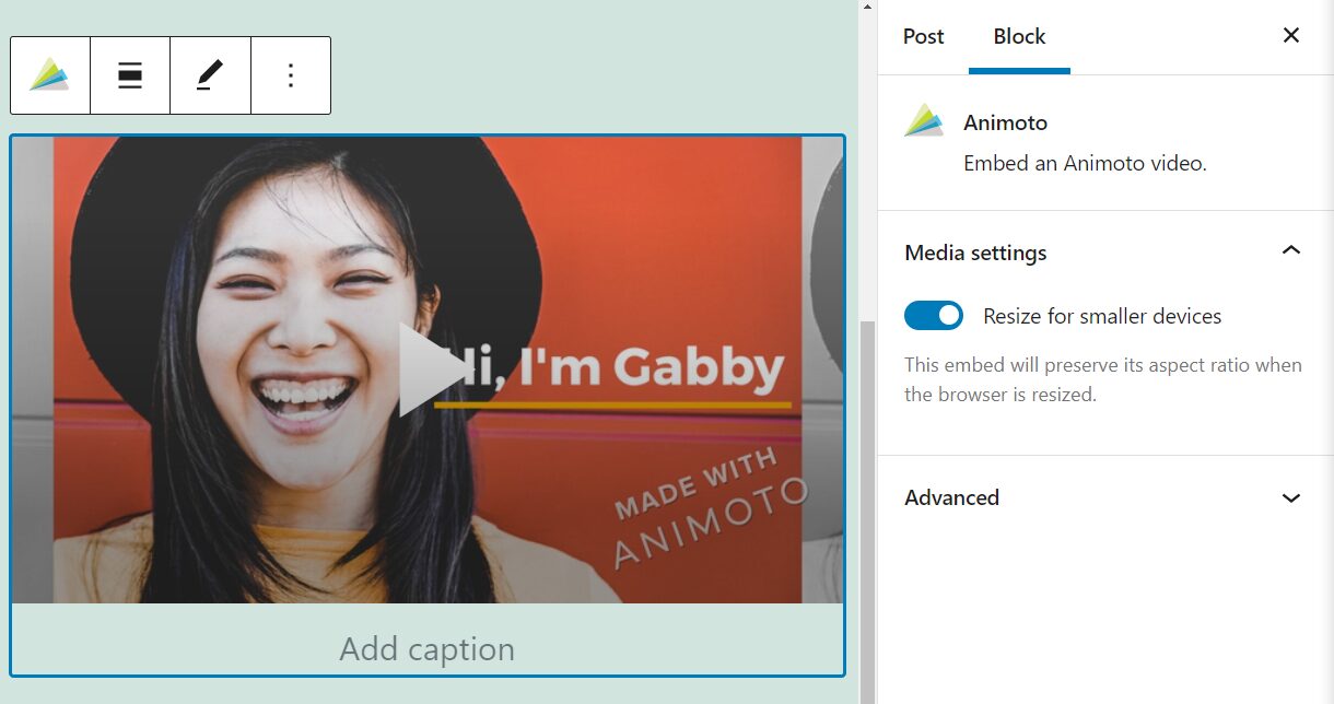 How to Use the WordPress Animoto Embed Block