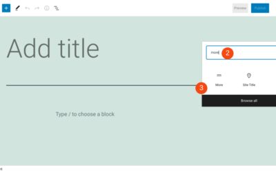 How to Use the WordPress More Block