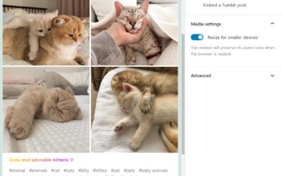 How to Use the WordPress Tumblr Embed Block