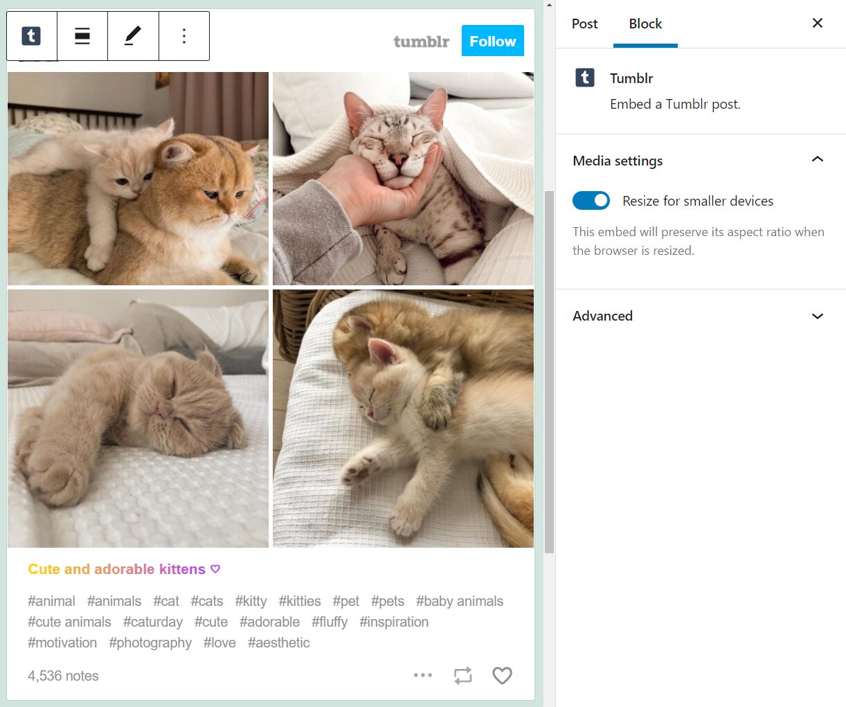 How to Use the WordPress Tumblr Embed Block