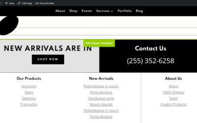 How to Add WordPress Menus to Your Divi Footer