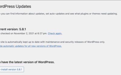 How to Conduct a WordPress Security Audit