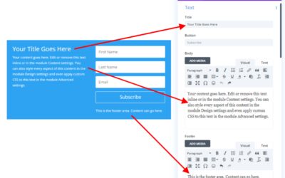 Using The Inline Email Optin Module Content vs. Combining with Text Modules