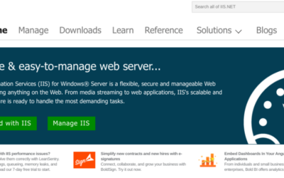 What Is Microsoft IIS Web Server Software?